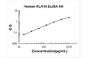 Kallikrein-Related Peptidase 15 (KLK15) ELISA Kit