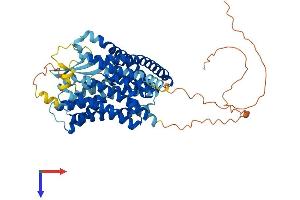 AlphaFold protein structure predicition of Mouse Recombinant Slc1a5 Protein, UniprotID P51912