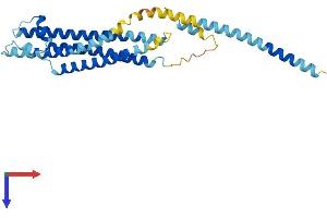 AlphaFold protein structure predicition of Mouse Recombinant Stx2 Protein, UniprotID Q00262