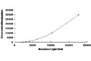 Thioredoxin Reductase 1 (TXNRD1) CLIA Kit