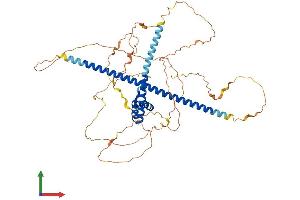 AlphaFold protein structure predicition of Mouse Recombinant Tox3 Protein, UniprotID Q80W03