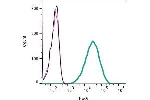 Cell surface detection of CD63 by direct flow cytometry in live intact mouse  microglia cell line: + Rabbit IgG Isotype Control-PE.