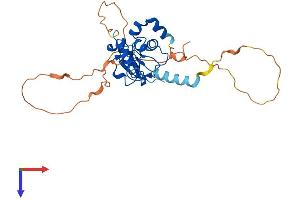 AlphaFold protein structure predicition of Mouse Recombinant Birc7 Protein, UniprotID A2AWP0