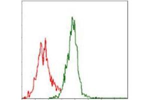 Flow cytometric analysis of Jurkat cells using ASS1 mouse mAb (green) and negative control (red).
