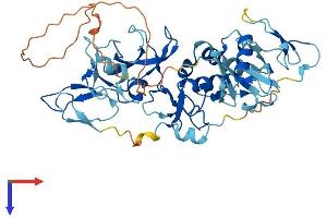 AlphaFold protein structure predicition of Human Recombinant PRKN Protein, UniprotID O60260