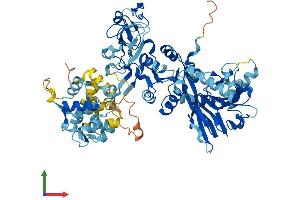 AlphaFold protein structure predicition of Human Recombinant DGKA Protein, UniprotID P23743