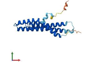 AlphaFold protein structure predicition of Human Recombinant MTFP1 Protein, UniprotID Q9UDX5