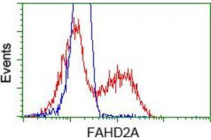 Flow Cytometry (FACS) image for anti-Fumarylacetoacetate Hydrolase Domain Containing 2A (FAHD2A) antibody (ABIN1498185) (FAHD2A anticorps)