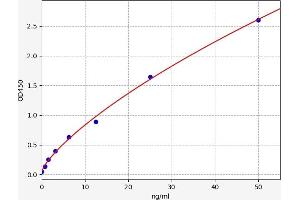 Typical standard curve (GOT2 Kit ELISA)
