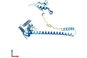 AlphaFold protein structure predicition of Mouse Recombinant Mnat1 Protein, UniprotID P51949
