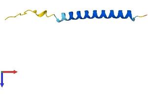 AlphaFold protein structure predicition of Human Recombinant PMAIP1 Protein, UniprotID Q13794