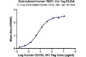 Immobilized Biotinylated Human TIGIT at 0.