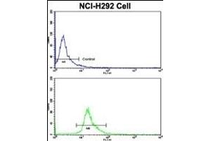 Flow cytometric analysis of NCI- cells using C Antibody (Center)(bottom histogram) compared to a negative control cell (top histogram). (PROCR anticorps  (AA 104-132))