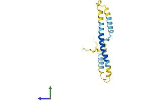 AlphaFold protein structure predicition of Mouse Recombinant Kcne1 Protein, UniprotID P23299