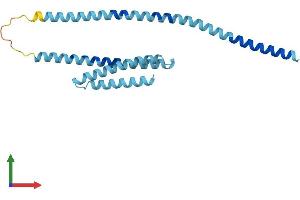 AlphaFold protein structure predicition of Human Recombinant GOSR2 Protein, UniprotID O14653