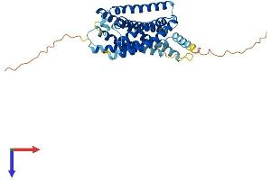 AlphaFold protein structure predicition of Mouse Recombinant P2ry12 Protein, UniprotID Q9CPV9