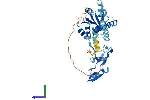 AlphaFold protein structure predicition of Human Recombinant RPLP0 Protein, UniprotID P05388