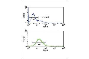Flow cytometric analysis of K562 cells (bottom histogram) compared to a negative control cell (top histogram).