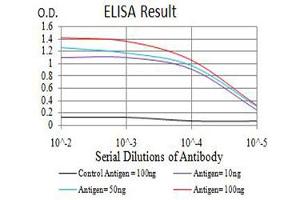 Black line: Control Antigen (100 ng),Purple line: Antigen (10 ng), Blue line: Antigen (50 ng), Red line:Antigen (100 ng) (CD56 anticorps  (AA 568-708))