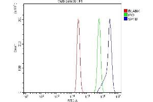 Flow Cytometry analysis of U937 cells using anti-beta 1 Spectrin/SPTB antibody (ABIN7602356). (Spectrin beta Chain, Erythrocyte (SPTB) (AA 703-2137) anticorps)