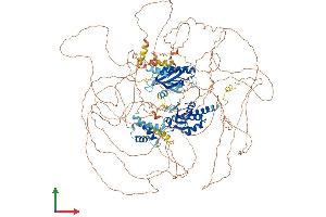 AlphaFold protein structure predicition of Human Recombinant SSH2 Protein, UniprotID Q76I76