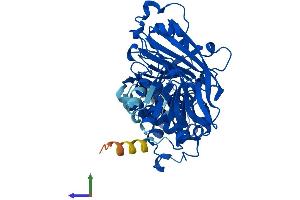 AlphaFold protein structure predicition of Human Recombinant GDI2 Protein, UniprotID P50395