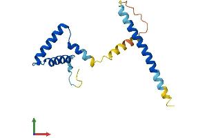 AlphaFold protein structure predicition of Mouse Recombinant Spa17 Protein, UniprotID Q62252