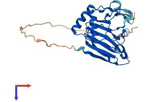 AlphaFold protein structure predicition of Human Recombinant ALKBH2 Protein, UniprotID Q6NS38