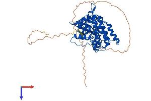 AlphaFold protein structure predicition of Human Recombinant CSNK1G2 Protein, UniprotID P78368