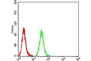 Flow cytometric analysis of Hela cells using C1QA mouse mAb (green) and negative control (red).