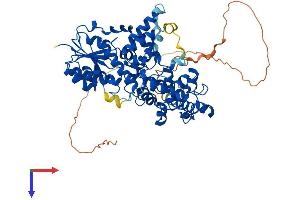 AlphaFold protein structure predicition of Mouse Recombinant Cry1 Protein, UniprotID P97784