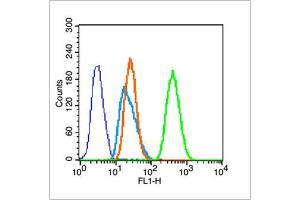 HeLa cells probed with Actin Polyclonal Antibody, unconjugated  at 1:100 dilution for 30 minutes compared to control cells (blue) and isotype control (orange)