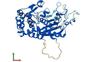 AlphaFold protein structure predicition of Human Recombinant AMZ2 Protein, UniprotID Q86W34
