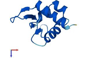 AlphaFold protein structure predicition of Human Recombinant ABRACL Protein, UniprotID Q9P1F3