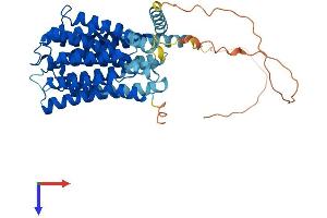 AlphaFold protein structure predicition of Human Recombinant SLC19A3 Protein, UniprotID Q9BZV2