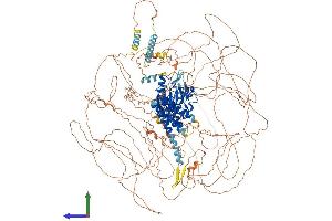 AlphaFold protein structure predicition of Human Recombinant LMTK2 Protein, UniprotID Q8IWU2