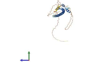 AlphaFold protein structure predicition of Human Recombinant TEX13B Protein, UniprotID Q9BXU2