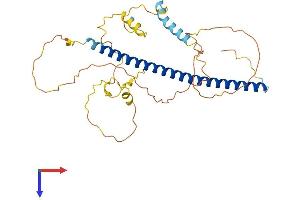 AlphaFold protein structure predicition of Human Recombinant JUN Protein, UniprotID P05412