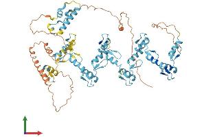 AlphaFold protein structure predicition of Human Recombinant ZNF311 Protein, UniprotID Q5JNZ3