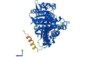 AlphaFold protein structure predicition of Human Recombinant TUBB3 Protein, UniprotID Q13509