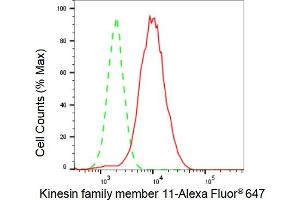 Flow cytometric analysis of Kinesin family member 11 expression in HAP-1 cells using Kinesin family member 11 antibody (ABIN7799200), 1:2,000). (Recombinant KIF11 anticorps)