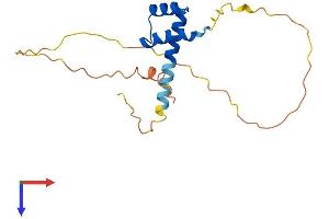 AlphaFold protein structure predicition of Human Recombinant RHOXF1 Protein, UniprotID Q8NHV9
