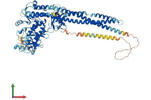 AlphaFold protein structure predicition of Mouse Recombinant Chuk Protein, UniprotID Q60680