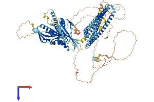 AlphaFold protein structure predicition of Mouse Recombinant Kif18a Protein, UniprotID Q91WD7