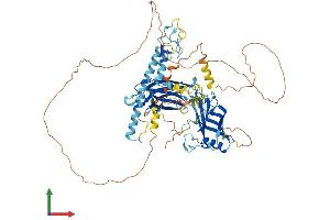 AlphaFold protein structure predicition of Mouse Recombinant Sytl4 Protein, UniprotID Q9R0Q1