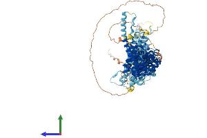 AlphaFold protein structure predicition of Mouse Recombinant Nup107 Protein, UniprotID Q8BH74