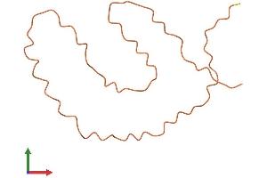 AlphaFold protein structure predicition of Human Recombinant KRTAP25-1 Protein, UniprotID Q3LHN0