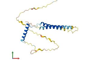 AlphaFold protein structure predicition of Human Recombinant CCDC28B Protein, UniprotID Q9BUN5