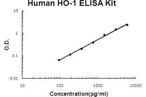 Human HO-1/HMOX1 Accusignal ELISA Kit Human HO-1/HMOX1 AccuSignal ELISA Kit standard curve. (HMOX1 Kit ELISA)