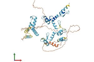 AlphaFold protein structure predicition of Human Recombinant ZSCAN26 Protein, UniprotID Q16670